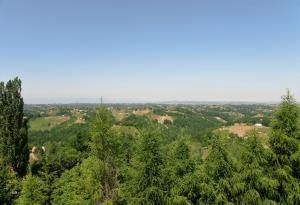 Neokrnjena narava